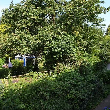 4 Sterne Ferienwohnungen Lavendel Brueggen Bruggen  Zewnętrze zdjęcie